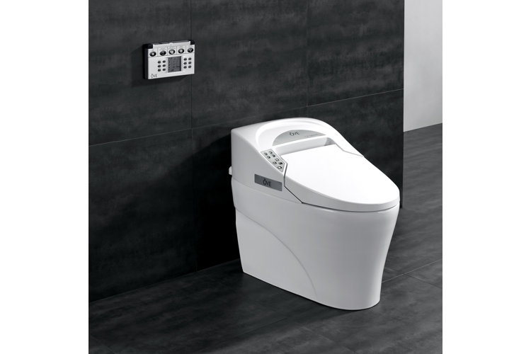 9 Best Japanese Toilet Features for Your Bathroom Wayfair
